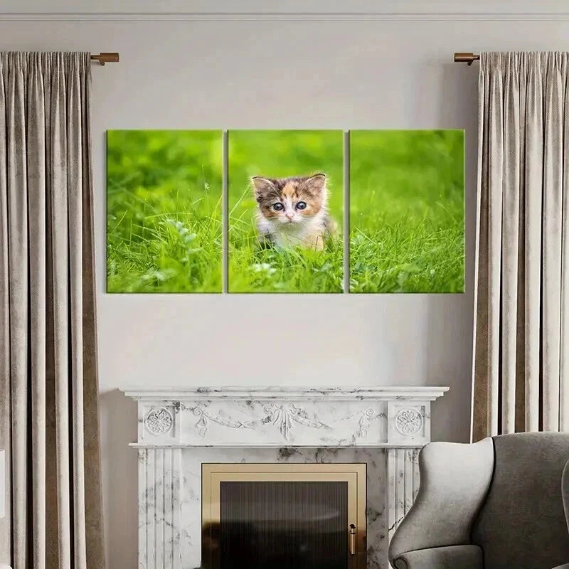 3pcs Cute Small Kitten In Grass Portrait Wall Art Set Canvas Framed 40x60cm - High Quality Print 100% Australian Made Wall Canvas Ready to Hang