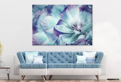 Elegant Tulip Flower And Close up  Wall Art Decor 100% Australian Made