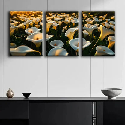 3pcs Calla Lilies Field Print Wall Art Set Canvas Framed 60x90cm - High Quality Print 100% Australian Made Wall Canvas Ready to Hang