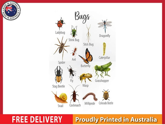 NEW (LAMINATED) Insect Animal Bug (61X91CM) Educational CHART PICTURE PRINT