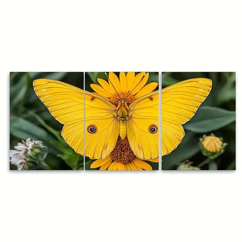 3pcs Bright Yellow Butterfly Wall Art Print RY Wall Art Set Canvas Unframed – High Quality Print 100% Australian Made Wall Canvas
