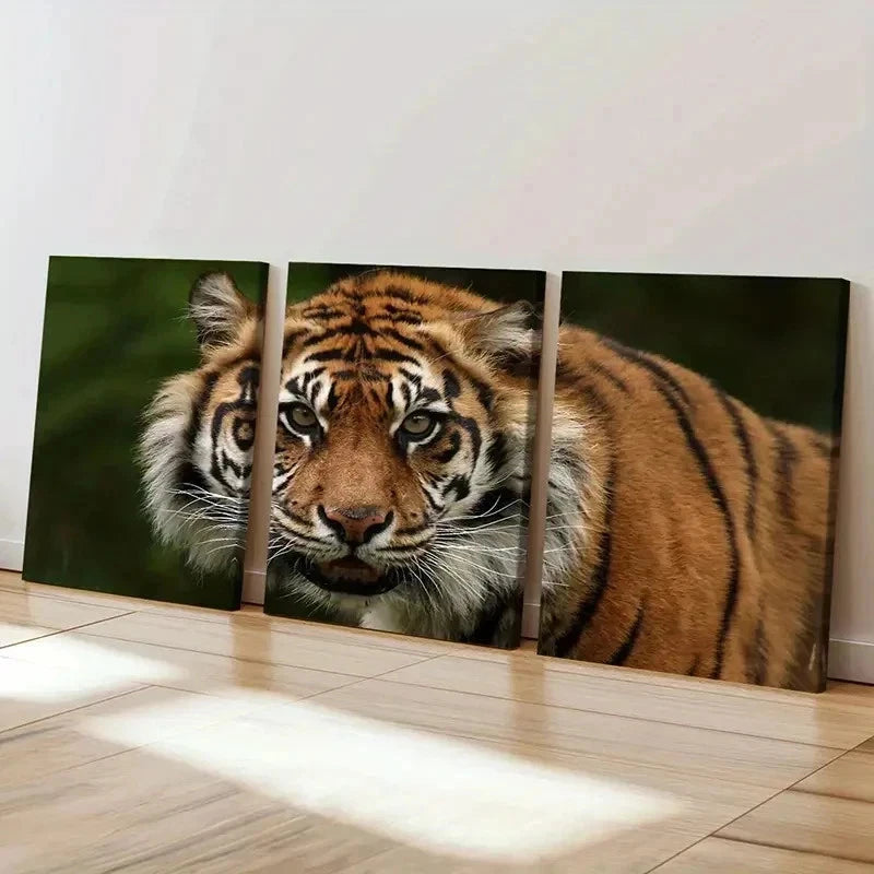 3pcs Realistic Tiger Watching Print Wall Art Set Canvas Framed 40x60cm - High Quality Print 100% Australian Made Wall Canvas Ready to Hang