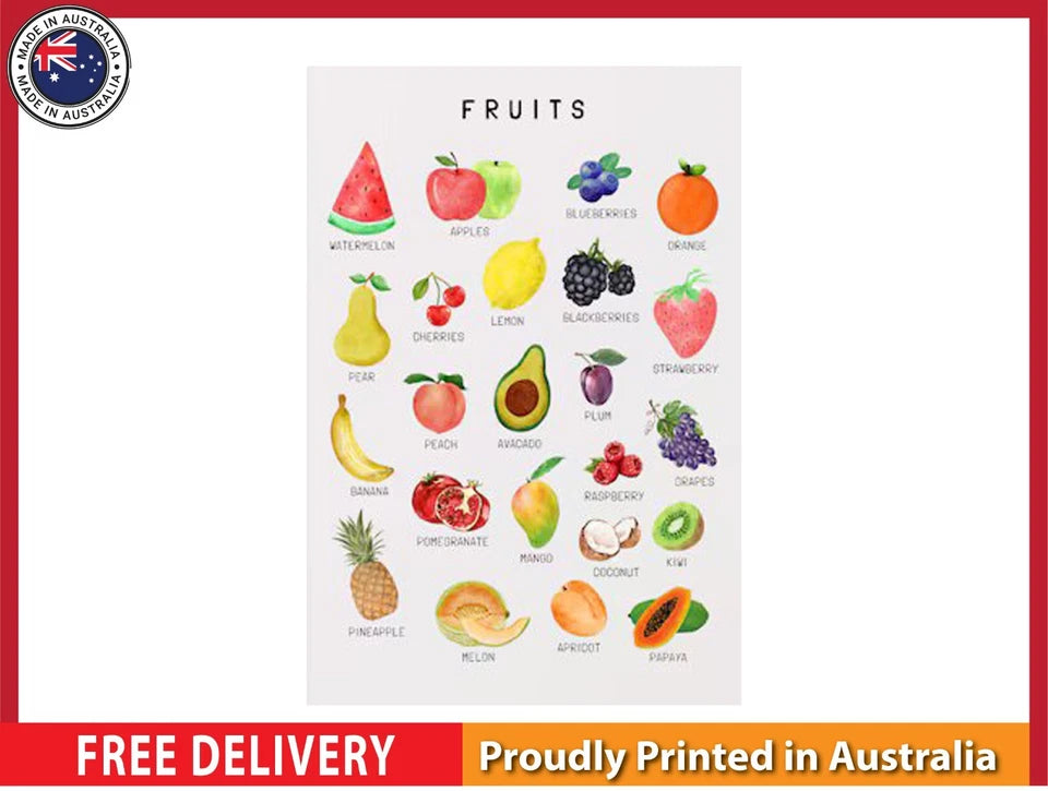 NEW (LAMINATED) Montessori Classroom (61X91CM) Fruits CHART PICTURE PRINT