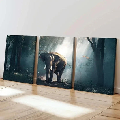 3pcs Elephant in Enchanted Forest Landscape Wall Art Set Canvas Framed 40x60cm - High Quality Print 100% Australian Made Wall Canvas Ready to Hang