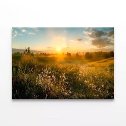 Blooming Wild High Grass Wall Art Decor 100% Australian Made