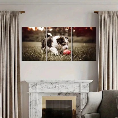 3pcs Puppy Playing Ball On Lawn Decor Wall Art Set Canvas Framed 40x60cm - High Quality Print 100% Australian Made Wall Canvas Ready to Hang