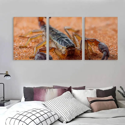 3pcs Scorpion on Orange Carpet Decoration Wall Art Set Canvas Framed 60x90cm - High Quality Print 100% Australian Made Wall Canvas Ready to Hang