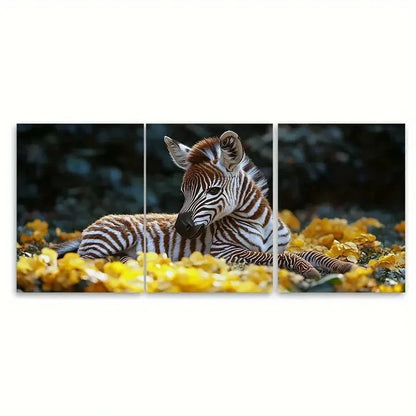 3pcs Baby Zebra Watercolor CM  Wall Art Set Canvas Framed 50x70cm - High Quality Print 100% Australian Made Wall Canvas Ready to Hang