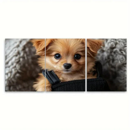 3pcs Small Cute Puppy P Wall Art Set Canvas Framed 40x60cm - High Quality Print 100% Australian Made Wall Canvas Ready to Hang