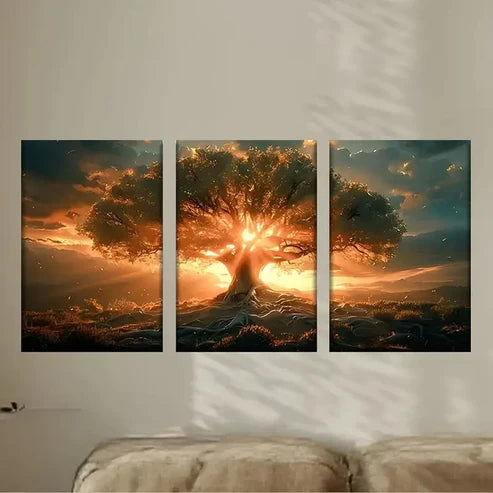 3pcs a tree with the sun shining through it Wall Art Set Canvas Unframed - High Quality Print 100% Australian Made Wall Canvas