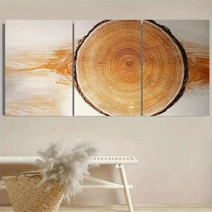 3pcs Modern Minimalist Boho Tree Ring Wall Art Set Canvas Framed 40x60cm - High Quality Print 100% Australian Made Wall Canvas Ready to Hang