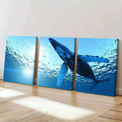 3pcs Sea Life Mammals Whales Modern Wall Art Set Canvas Framed 40x60cm - High Quality Print 100% Australian Made Wall Canvas Ready to Hang