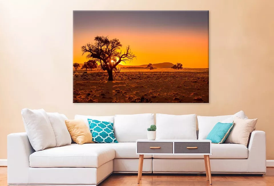 Grassy Steppe, Camel Thorn Trees Wall Art Decor 100% Australian Made