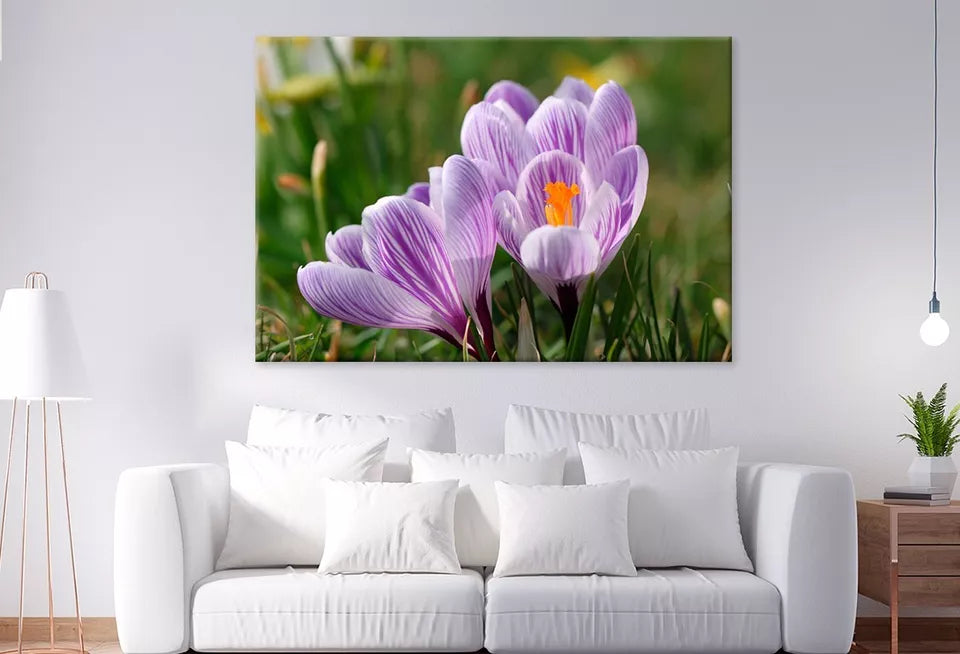Spring Growing Flowers And Nature Wall Art Decor 100% Australian Made