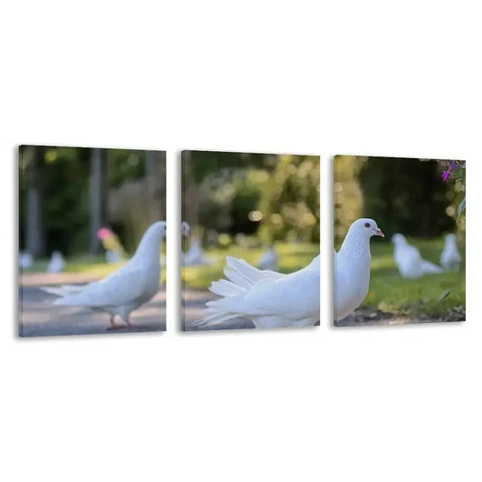 3pcs Elegant Dove Painting with White Doves on Wall Art Set Canvas Framed 60x90cm - High Quality Print 100% Australian Made Wall Canvas Ready to Hang