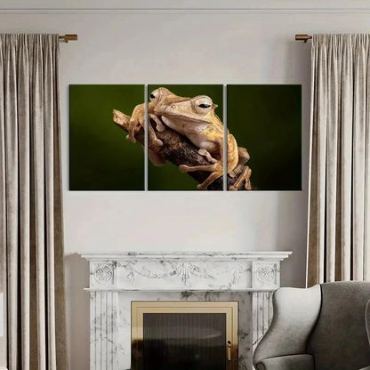 3pcs Tree Frog Lying On A Branch Print Wall Art Set Canvas Framed 40x60cm - High Quality Print 100% Australian Made Wall Canvas Ready to Hang