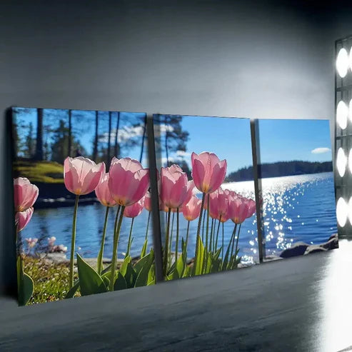 3pcs Chic Pink Tulip Pink Nature Blue Wall Art Set Canvas Unframed - High Quality Print 100% Australian Made Wall Canvas