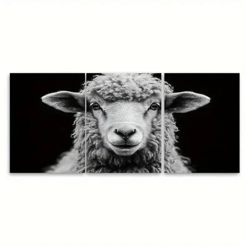 3pcs Fluffy Ram Sheep Black and White T Wall Art Set Canvas Unframed – High Quality Print, 100% Australian Made Wall Canvas