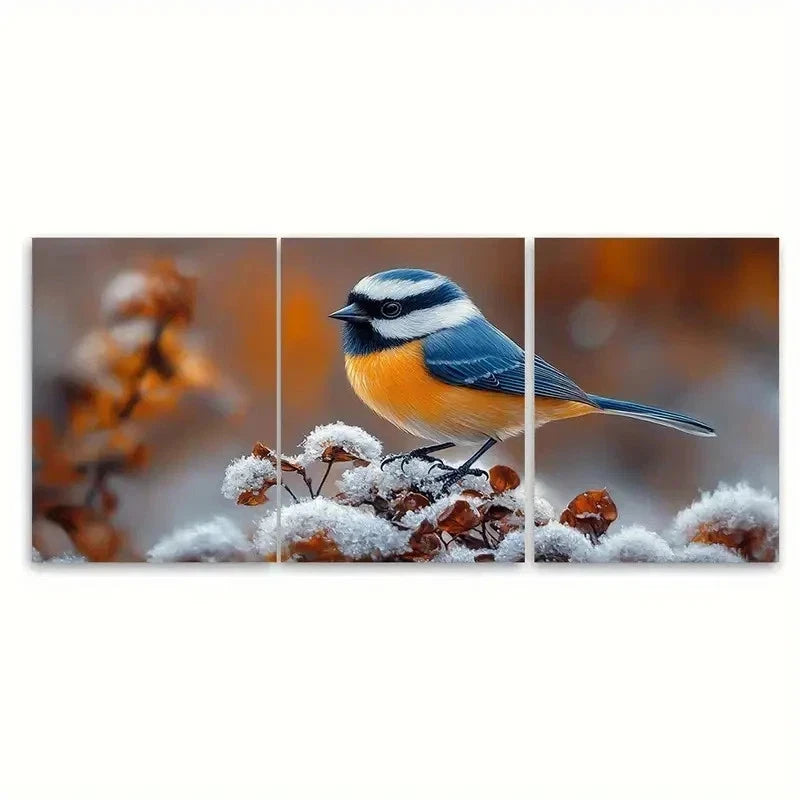 3pcs Chickadee Painting Sparrow TY Wall Art Set Canvas Framed 50x70cm - High Quality Print 100% Australian Made Wall Canvas Ready to Hang