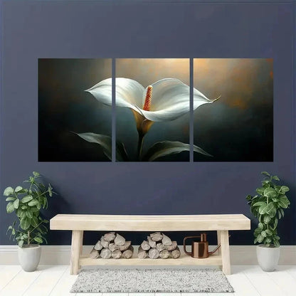3pcs Modern Nature-Inspired Décor Perfect Wall Art Set Canvas Framed 40x60cm - High Quality Print 100% Australian Made Wall Canvas Ready to Hang