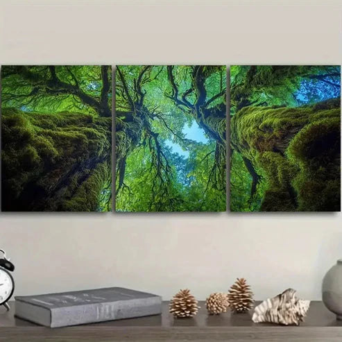 3pcs The Perspective from Within an Old Tree Wall Art Set Canvas Unframed - High Quality Print 100% Australian Made Wall Canvas