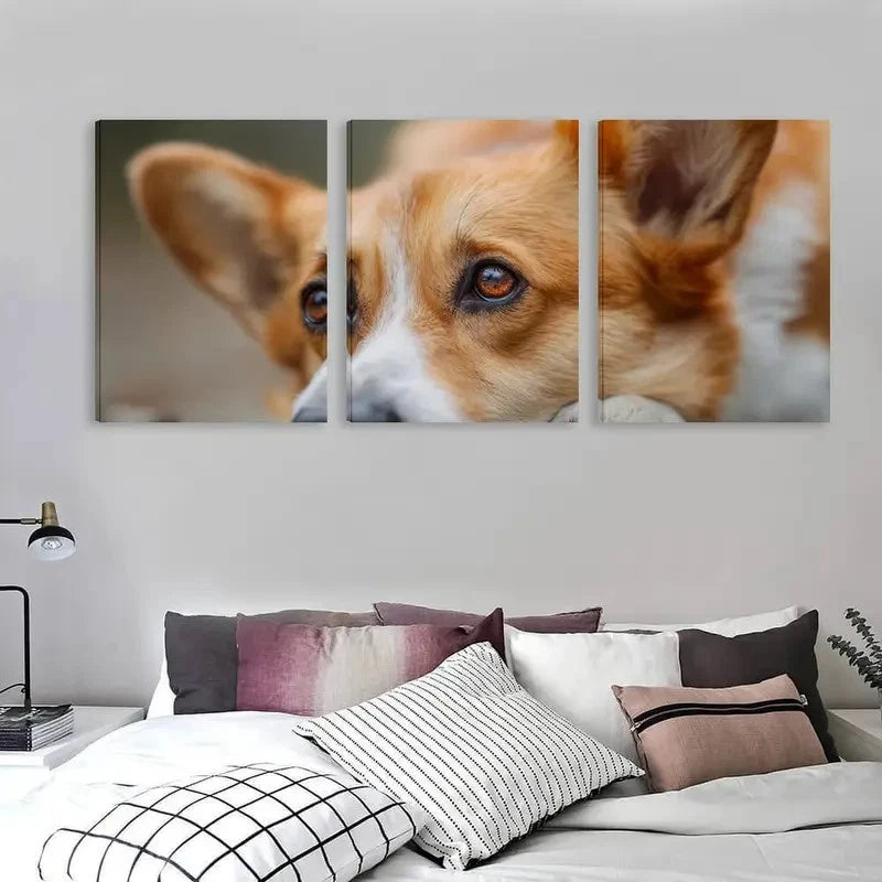 3pcs Adorable Welsh Corgi Dog Ground & Eyes Wall Art Set Canvas Framed 50x70cm - High Quality Print 100% Australian Made Wall Canvas Ready to Hang