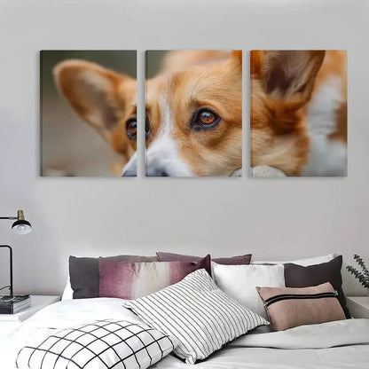 3pcs Adorable Welsh Corgi Dog Ground & Eyes Wall Art Set Canvas Framed 50x70cm - High Quality Print 100% Australian Made Wall Canvas Ready to Hang