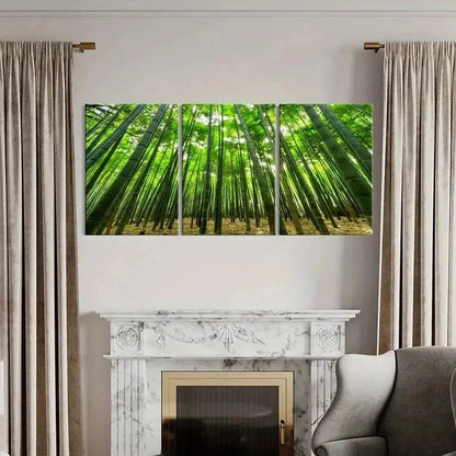 3pcs Green Bamboo Forest Natural Landscape Wall Art Set Canvas Framed 40x60cm - High Quality Print 100% Australian Made Wall Canvas Ready to Hang
