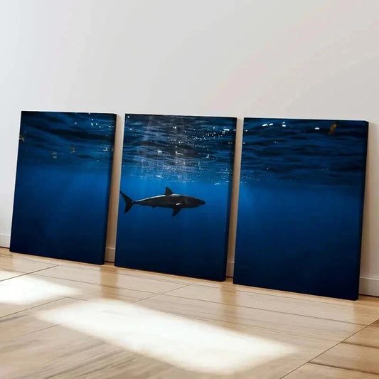 3pcs Sea Life Scene with Realistic Shark Wall Art Set Canvas Framed 40x60cm - High Quality Print 100% Australian Made Wall Canvas Ready to Hang