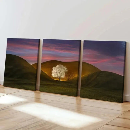 3pcs Tree In The Valley Nature Landscape Wall Art Set Canvas Framed 40x60cm - High Quality Print 100% Australian Made Wall Canvas Ready to Hang