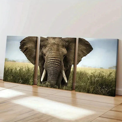 3pcs Elephant African Savanna Decoration Wall Art Set Canvas Framed 40x60cm - High Quality Print 100% Australian Made Wall Canvas Ready to Hang