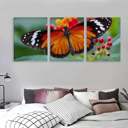 3pcs Danaus chrysippus Butterfly Decor  Wall Art Set Canvas Framed 60x90cm - High Quality Print 100% Australian Made Wall Canvas Ready to Hang