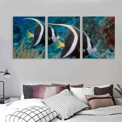 3pcs Two Black and white Angelfish swimming Wall Art Set Canvas Framed 60x90cm - High Quality Print 100% Australian Made Wall Canvas Ready to Hang