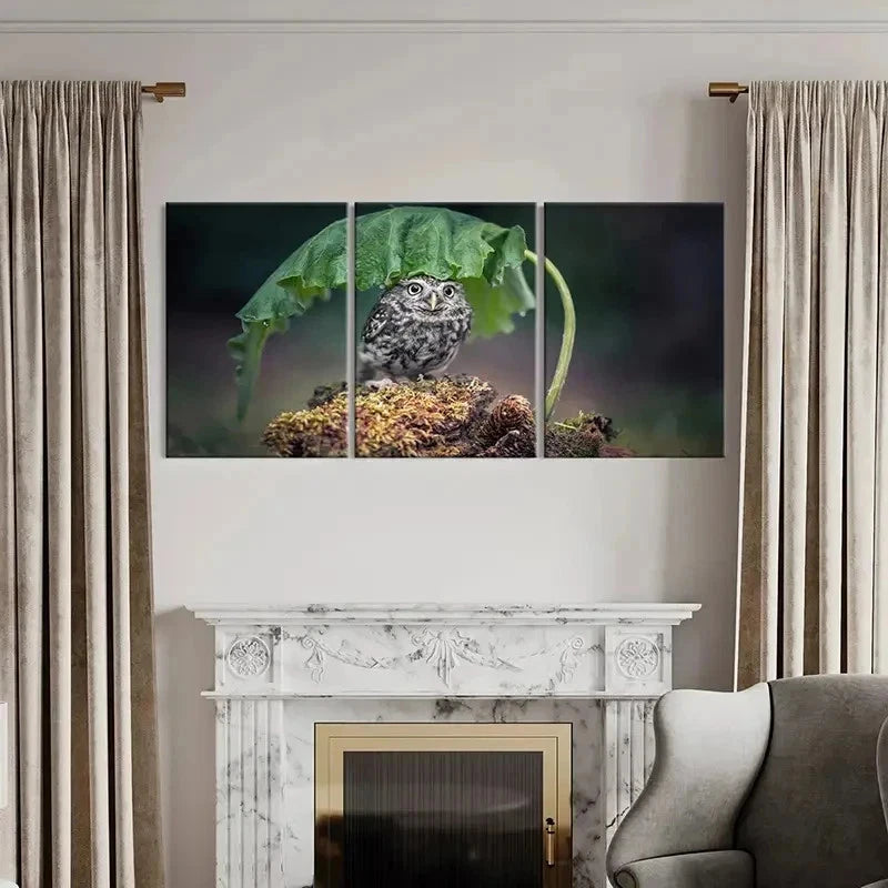 3pcs Bird Art Cute Owl Under a  Leaf Modern Wall Art Set Canvas Framed 40x60cm - High Quality Print 100% Australian Made Wall Canvas Ready to Hang