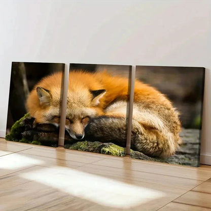 3pcs Orange Fox Sleeping on the Ground Wall Art Set Canvas Framed 40x60cm - High Quality Print 100% Australian Made Wall Canvas Ready to Hang