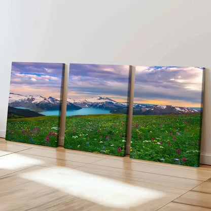 3pcs Vibrant Mountain & Meadow Landscape  Wall Art Set Canvas Framed 40x60cm - High Quality Print 100% Australian Made Wall Canvas Ready to Hang