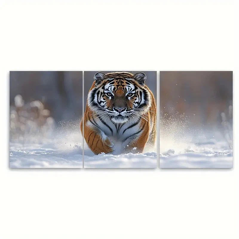 3pcs Snowy Tiger Vivid Wildlife SR Wall Art Set Canvas Framed 40x60cm - High Quality Print 100% Australian Made Wall Canvas Ready to Hang