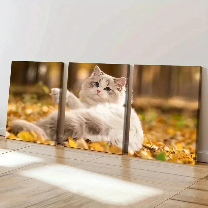 3pcs Cute Kitten in Autumn Splendor Wall Art Set Canvas Framed 40x60cm - High Quality Print 100% Australian Made Wall Canvas Ready to Hang