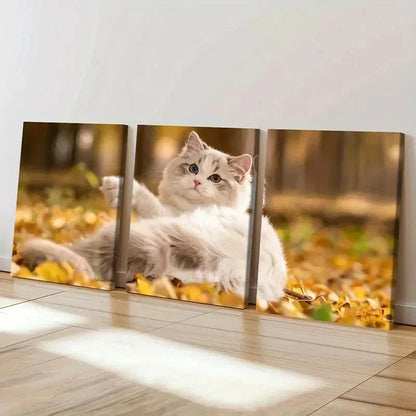 3pcs Cute Kitten in Autumn Splendor Wall Art Set Canvas Framed 40x60cm - High Quality Print 100% Australian Made Wall Canvas Ready to Hang