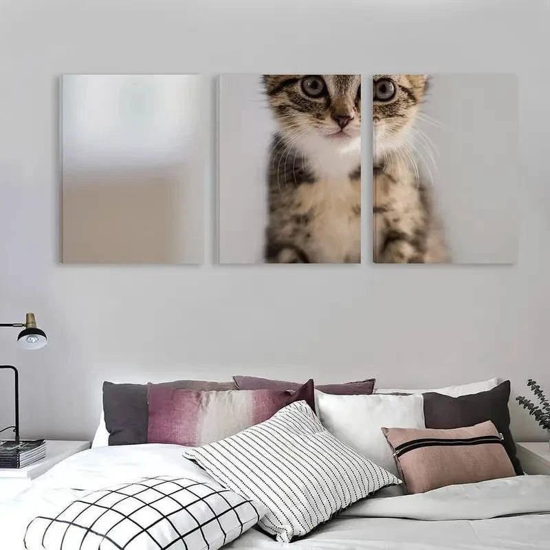 3pcs Modern Tabby Kitten Art Wall Art Set Canvas Framed 40x60cm - High Quality Print 100% Australian Made Wall Canvas Ready to Hang