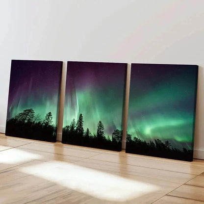 3pcs Forest & Aurora Nordic Landscape Wall Art Set Canvas Framed 40x60cm - High Quality Print 100% Australian Made Wall Canvas Ready to Hang