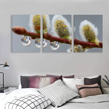 3pcs Water Droplets Cling To Willow Wall Art Set Canvas Framed 50x70cm - High Quality Print 100% Australian Made Wall Canvas Ready to Hang