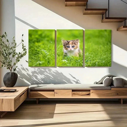 3pcs Cute Small Kitten In Grass Portrait Wall Art Set Canvas Framed 40x60cm - High Quality Print 100% Australian Made Wall Canvas Ready to Hang