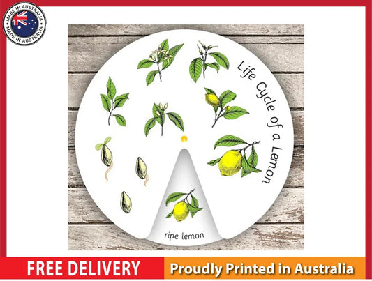 NEW (LAMINATED) LIFE CYCLE OF A LEMON (61X91CM) EDUCATIONAL CHART PICTURE PRINT