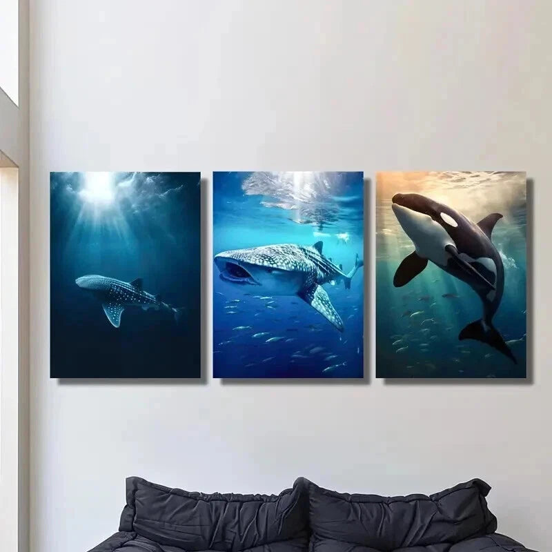 3pcs Marine Life Whales Photography Wall Art Set Canvas Framed 40x60cm - High Quality Print 100% Australian Made Wall Canvas Ready to Hang