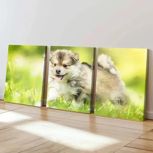 3pcs Brown Puppy on Green Grass Painting Wall Art Canvas Unframed - High Quality Print 100% Australian Made Wall Canvas