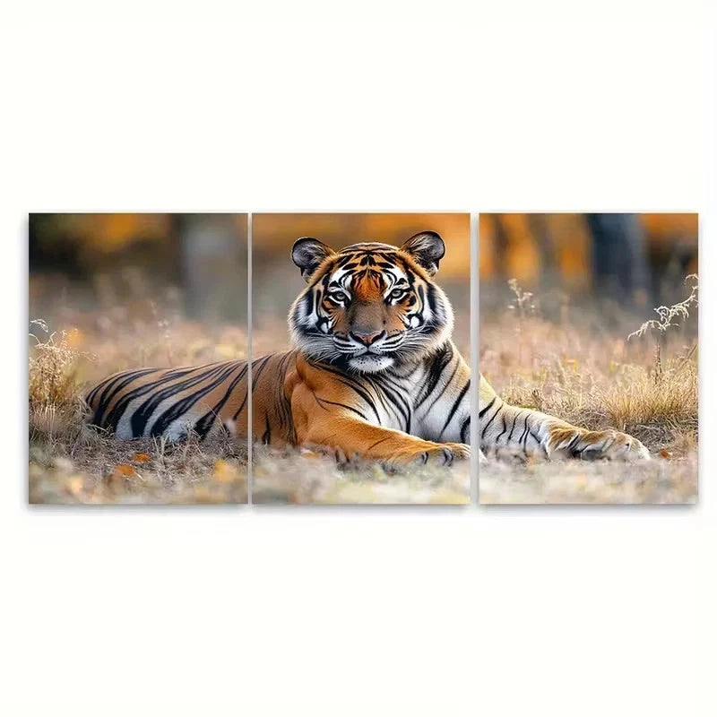 3pcs Resting in Tiger Reserve National Park Wall Art Set Canvas Framed 60x90cm - High Quality Print 100% Australian Made Wall Canvas Ready to Hang