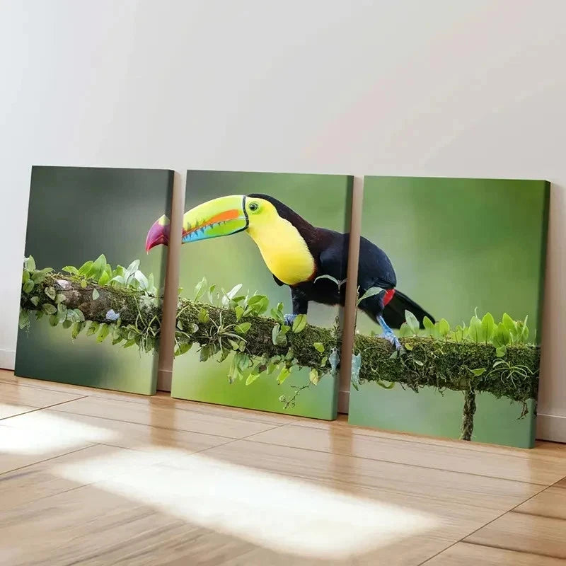 3pcs Bird  Animal Art Toucan Portrait Wall Art Set Canvas Framed 40x60cm - High Quality Print 100% Australian Made Wall Canvas Ready to Hang
