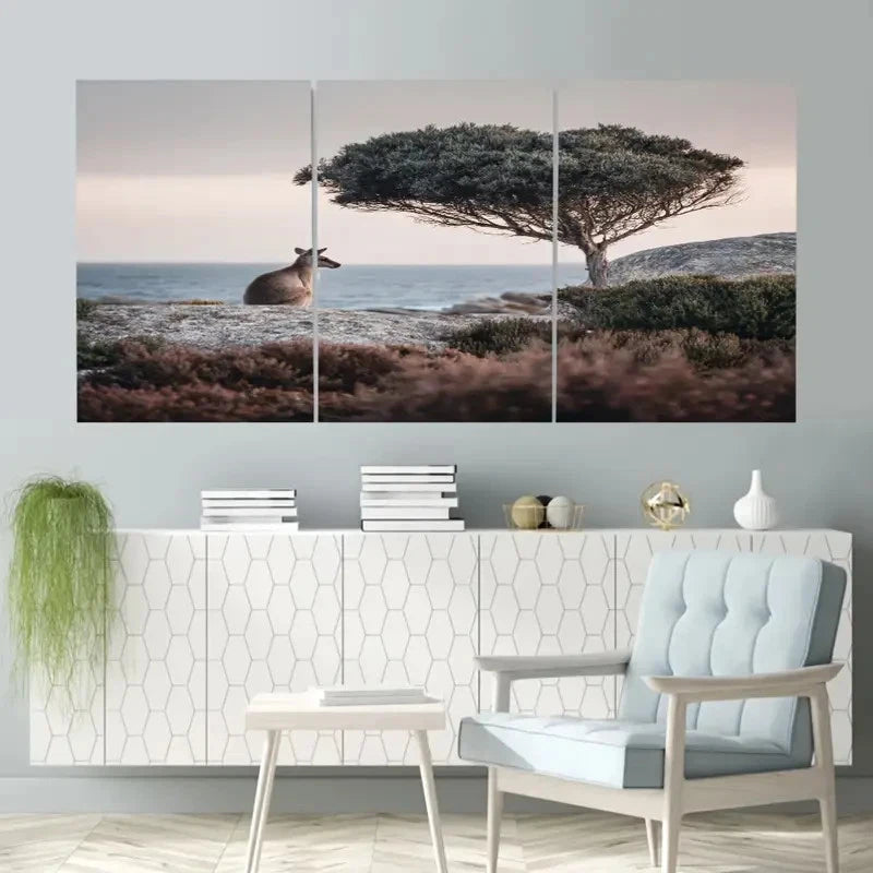 3pcs Kangaroo Island Reserve in Australia Wall Art Set Canvas Framed 60x90cm - High Quality Print 100% Australian Made Wall Canvas Ready to Hang