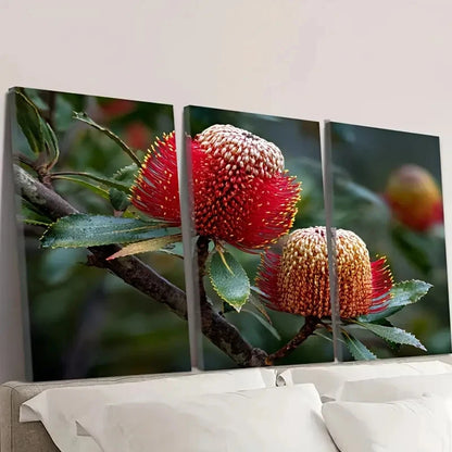 3pcs Banksia Australian Wild flower Wall Art Set Canvas Framed 60x90cm - High Quality Print 100% Australian Made Wall Canvas Ready to Hang